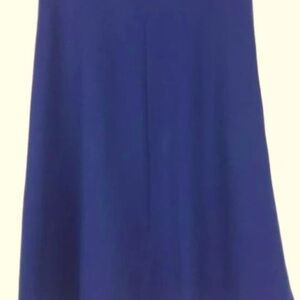 Junee A-line Navy Skirt Size Xlarge
